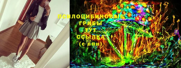 шишки Бронницы