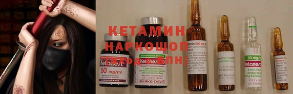 шишки Бронницы