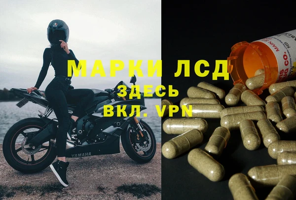 мескалин Бородино